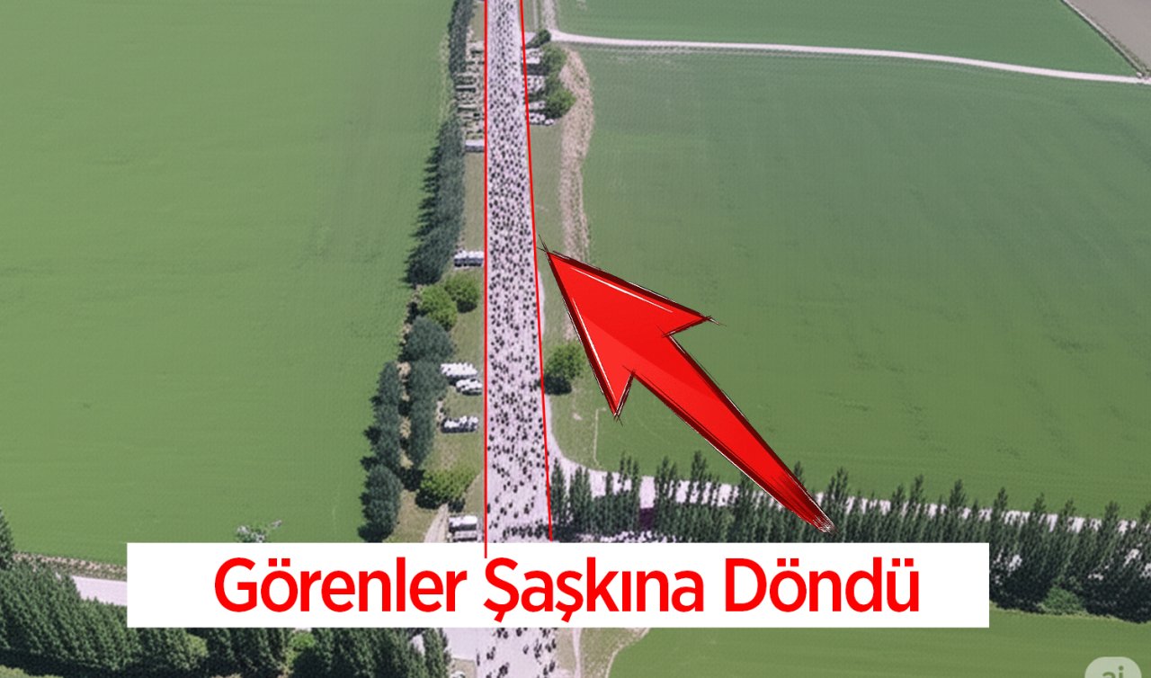 Sürücüler Bu Manzaraya Hazır Değildi! Görenler Şaşkına Döndü, Yolu Kapladılar 