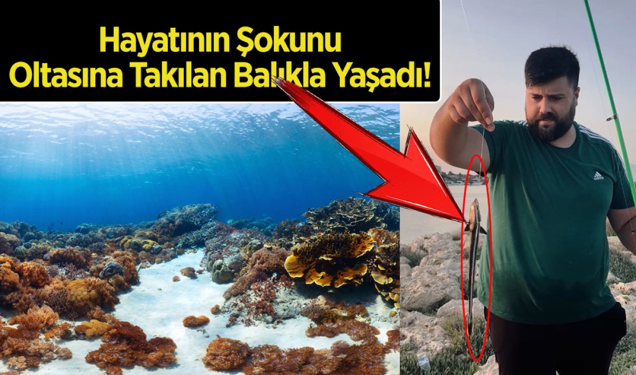 Antalya Sahilinde Amatör Balıkçı Balık Avlarken Hayatının Şokunu Oltasına Takılan Balıkla Yaşadı! 40 santimetre boyuyla...
