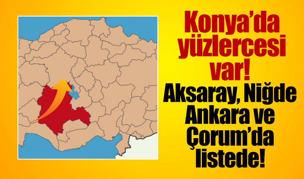 Konya’da yüzlercesi var! Aksaray, Niğde, Ankara, Çorum’da listede! 