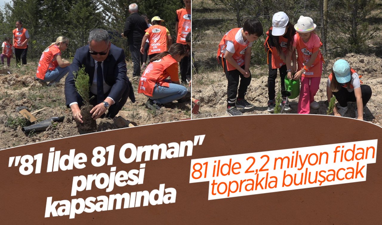 “81 İlde 81 Orman’’ projesi kapsamında 81 ilde 2,2 milyon fidan toprakla buluşacak