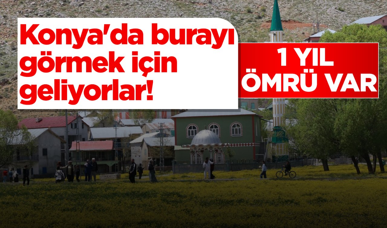 Konya’da burayı görmek için geliyorlar! 1 yıl ömrü var 