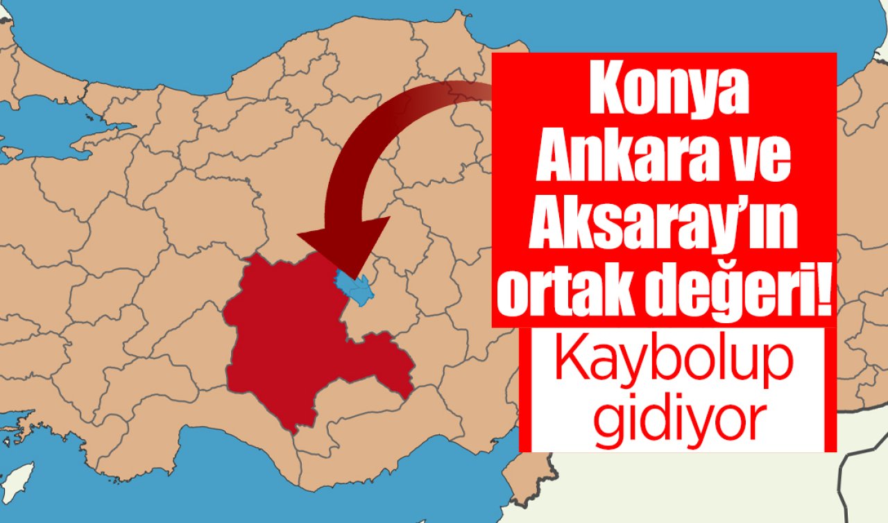 Konya Ankara ve Aksaray’ın ortak değeri! Kaybolup gidiyor