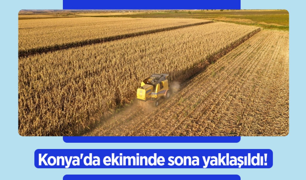 Konya’da ekiminde sona yaklaşıldı! Sapı bile değerli, dönümden 5 ton veriyor