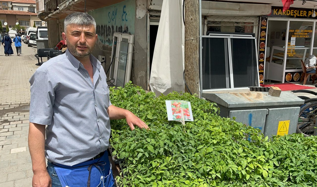 Fideleri bahçesine ekenler kendi yetiştirip kendi yiyor