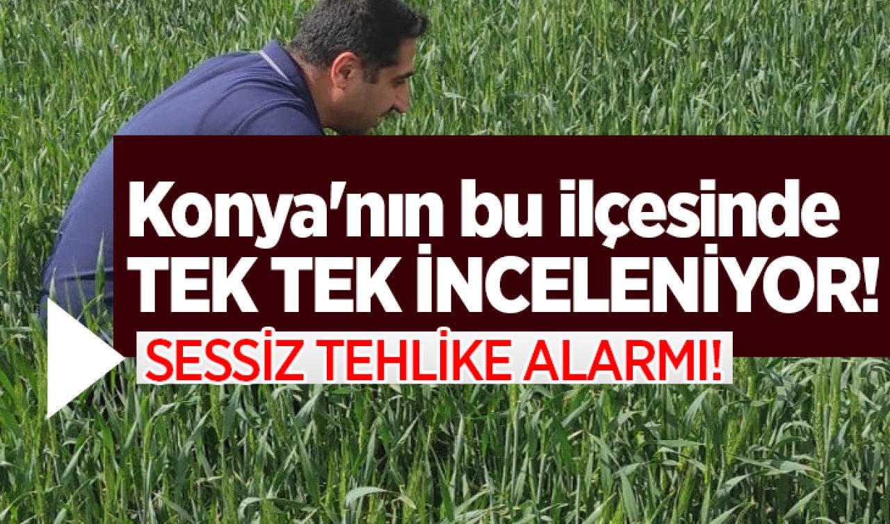 Konya’nın bu ilçesinde sessiz tehlike alarmı Takibe alındı