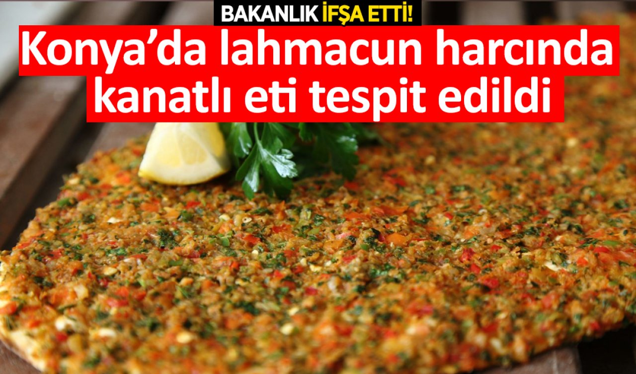 Bakanlık ifşa etti! Konya’da lahmacun harcında kanatlı eti tespit edildi