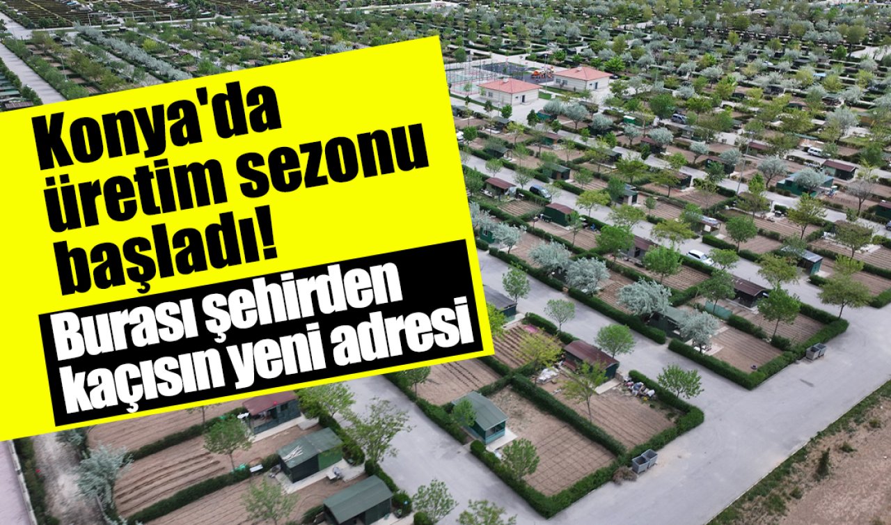 Konya’da üretim sezonu başladı! Burası şehirden kaçısın yeni adresi 