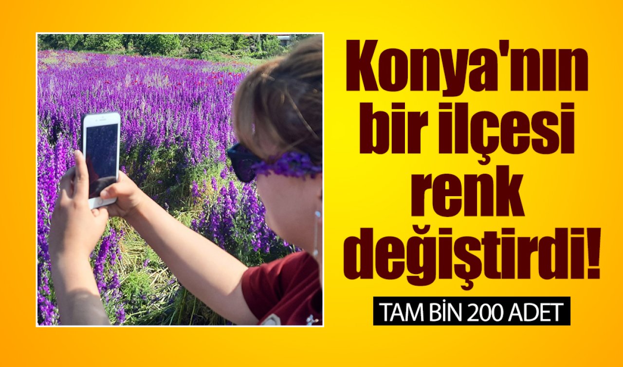 Konya’nın bir ilçesi renk değiştirdi! Gören burada yaşamak istiyor: TAM bin 200 adet! 
