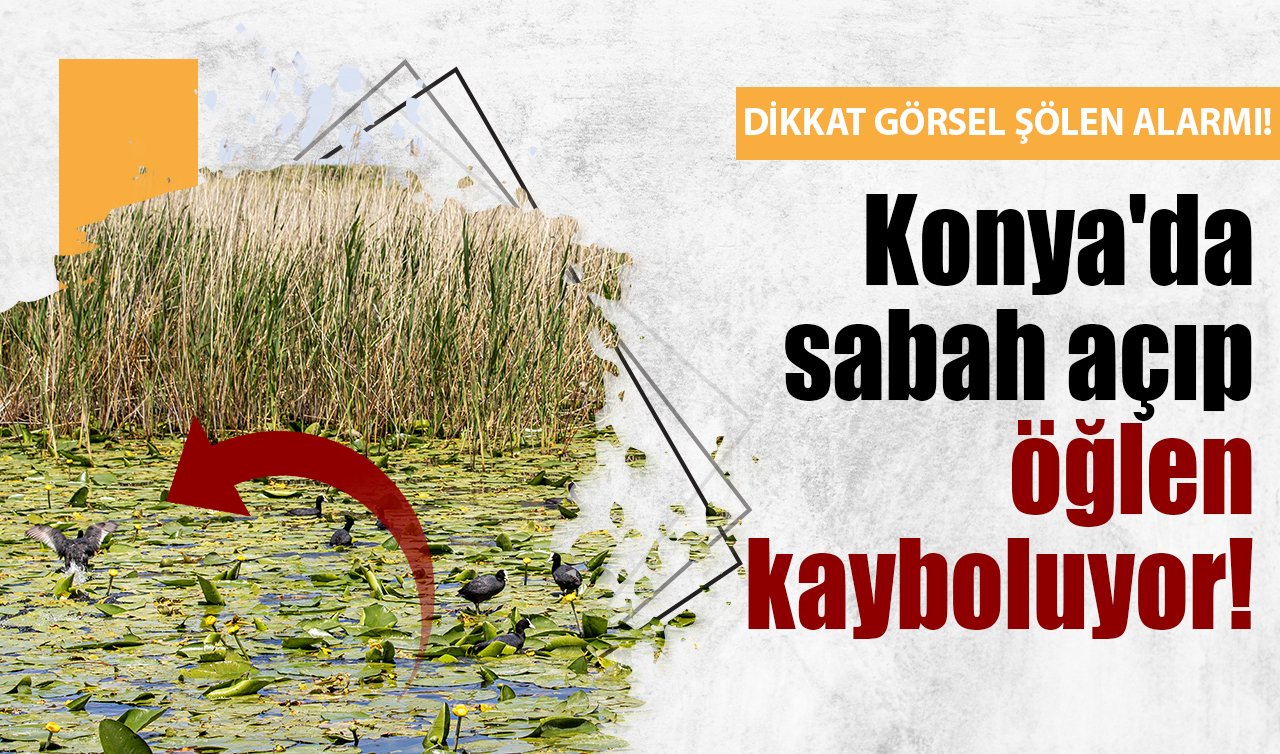 Konya’da sabah açıp öğlen kayboluyor! 