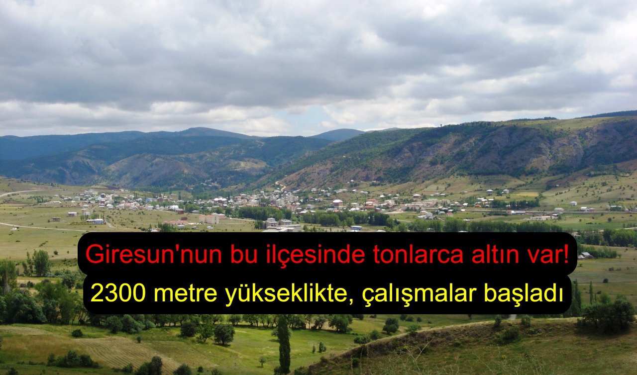 Giresun’nun bu ilçesinde tonlarca altın var! 2300 metre yükseklikte, çalışmalar başladı