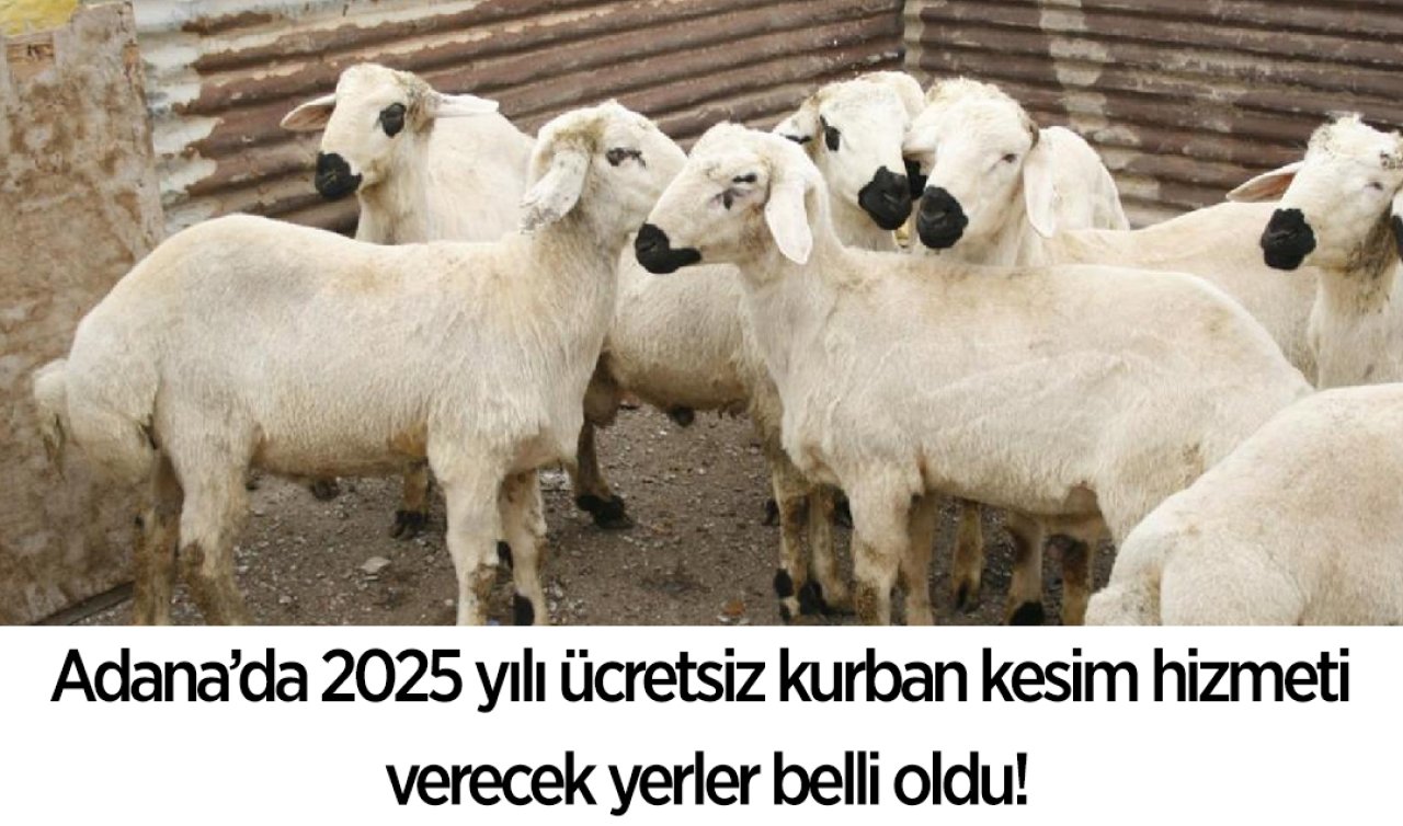 Adana’da 2025 yılı ücretsiz kurban kesim hizmeti verecek yerler belli oldu!