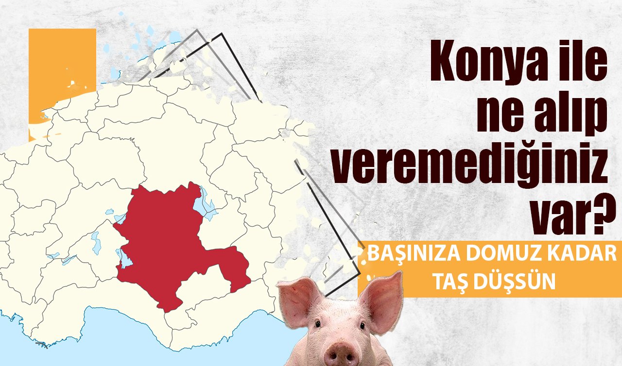 Konya ile ne alıp veremediğiniz var? BAŞINIZA DOMUZ KADAR TAŞ DÜŞSÜN