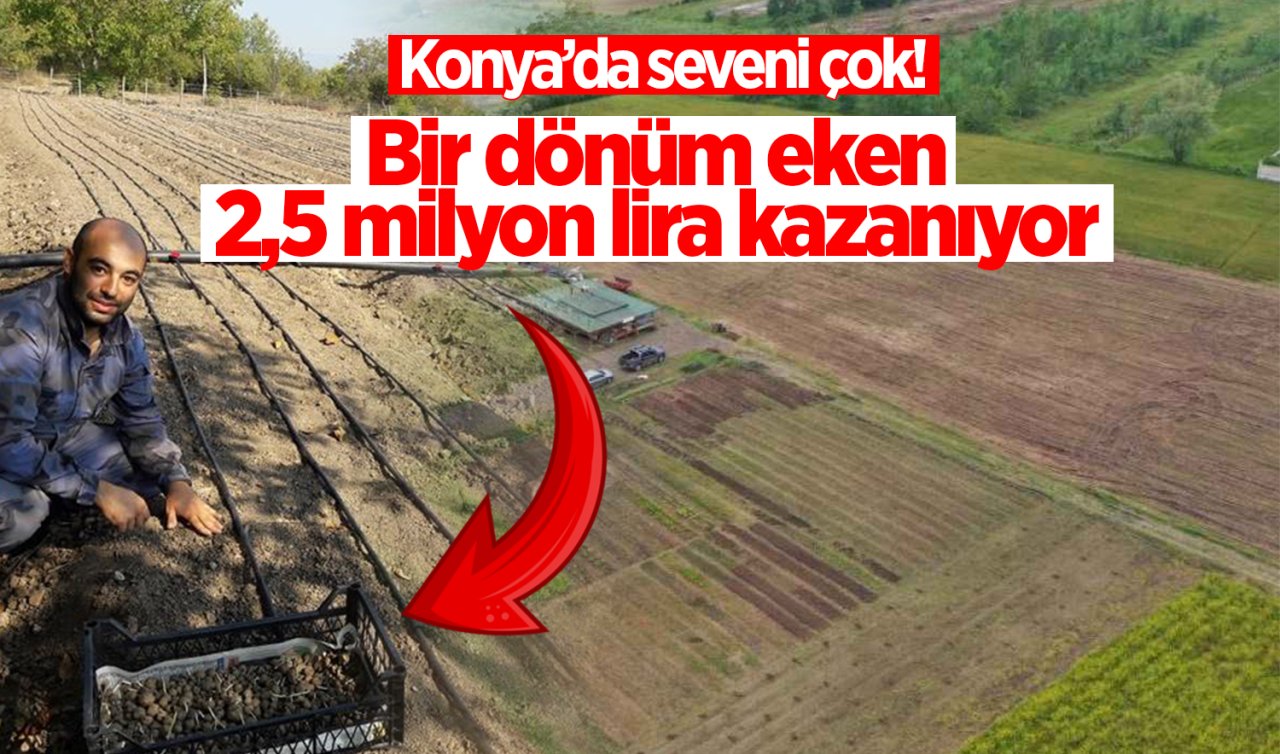 Konya’da seveni çok! Bir dönüm eken 2,5 milyon lira kazanıyor 
