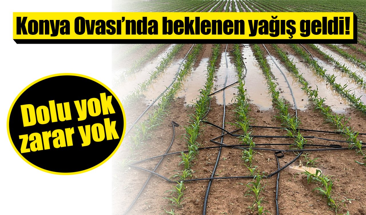  Konya Ovası’nda beklenen yağış geldi! Dolu yok, zarar yok 