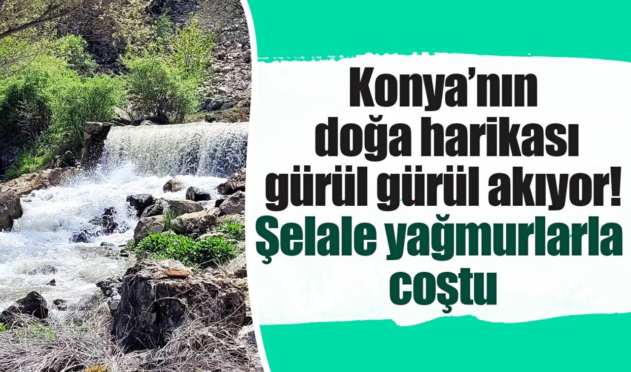 Konya’nın doğa harikası gürül gürül akıyor! Şelale yağmurlarla coştu