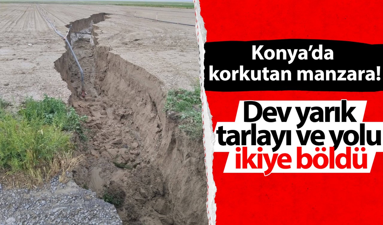 Konya’da korkutan manzara! Dev yarık tarlayı ve yolu ikiye böldü