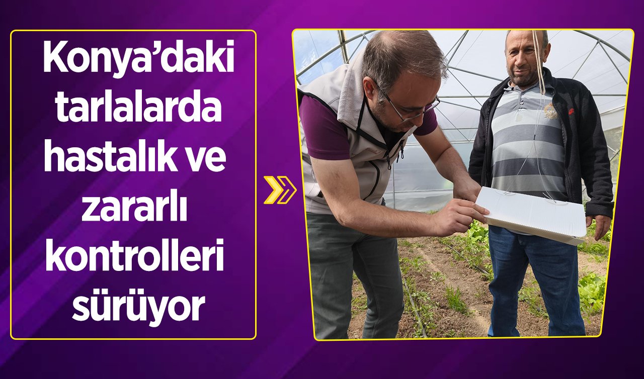Konya’da toprak ısındı ekipler sahada! Tuzaklı savaş başladı