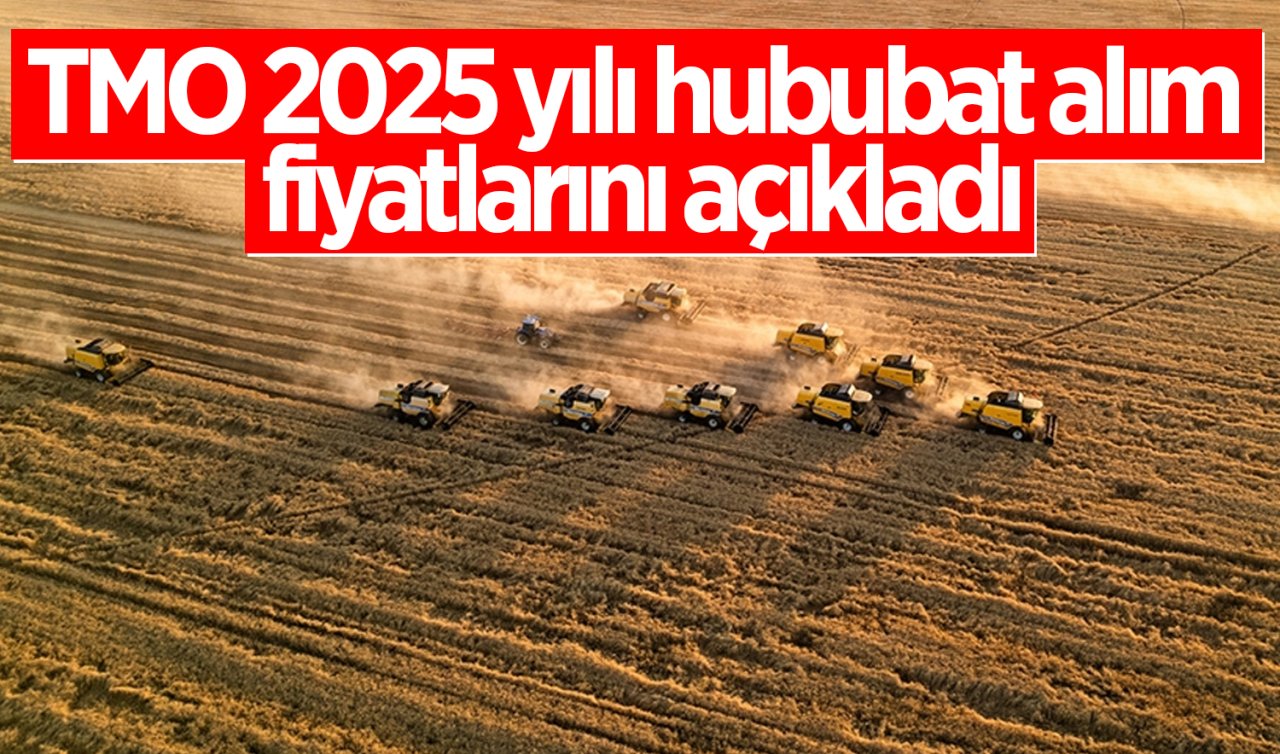 TMO 2025 yılı hububat alım fiyatlarını açıkladı! 