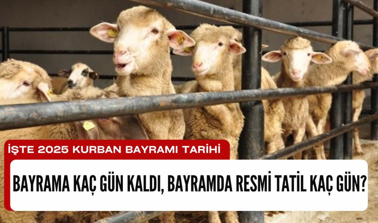 Bayrama kaç gün kaldı, bayramda resmi tatil kaç gün? 2025 Kurban Bayramı tatili ne zaman, bayramda okullara kaç günlük tatil var?