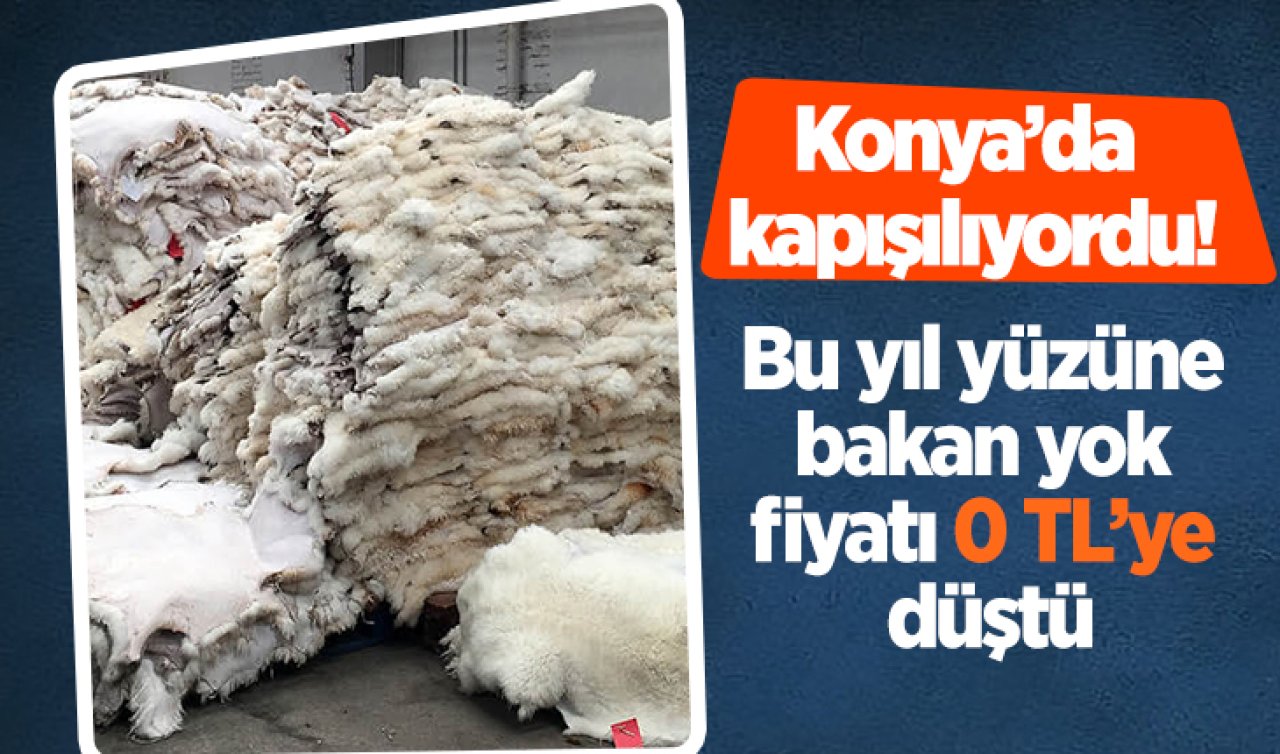 Konya’da kapışılıyordu! Bu yıl yüzüne bakan yok fiyatı 0 TL’ye düştü