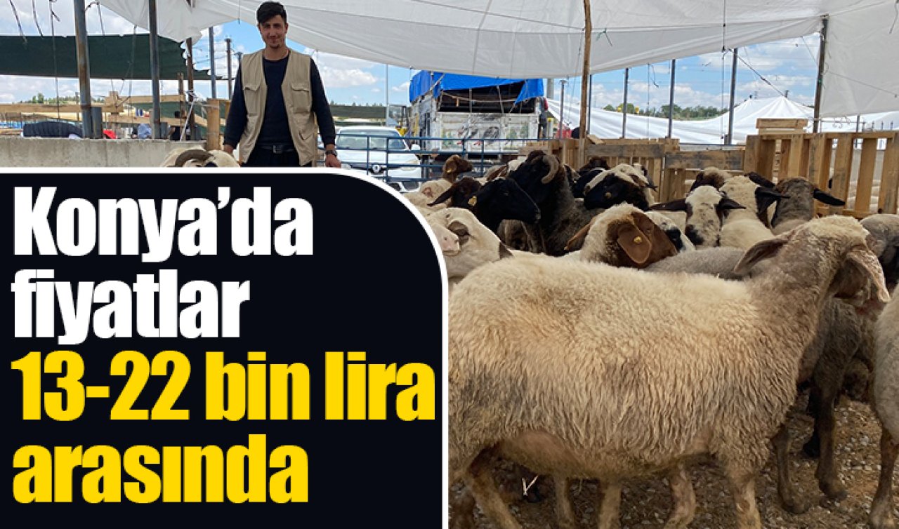 Konya’da fiyatlar 13-22 bin lira arasında