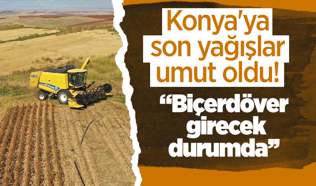 Konya’ya son yağışlar umut oldu: “Biçerdöver girecek durumda’’