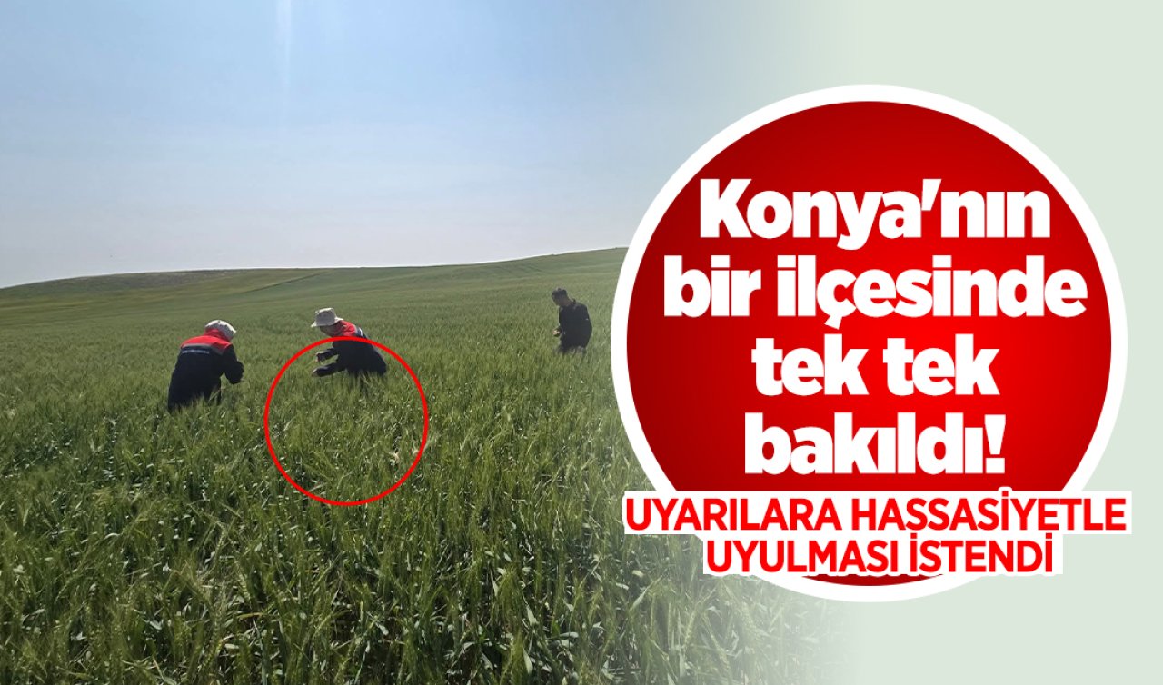 Konya’nın bir ilçesinde tek tek bakıldı! Sabahın erken saatlerinde gözlemleniyor