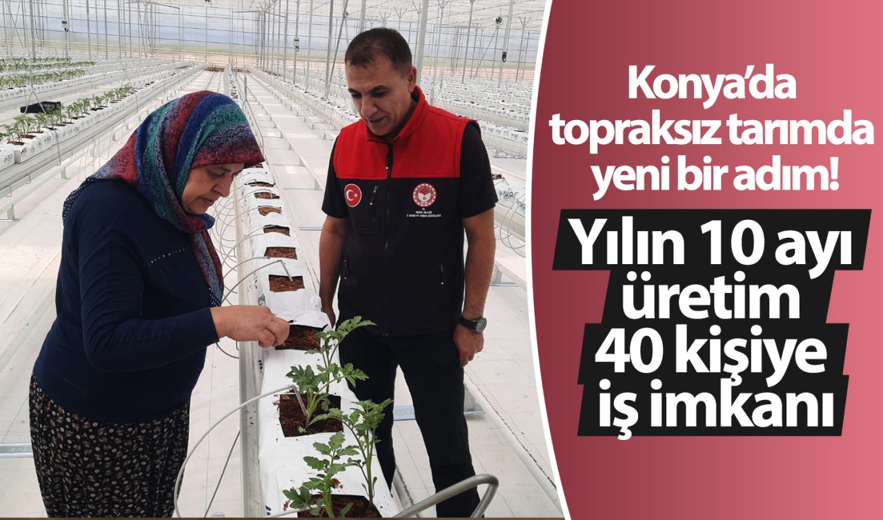 Konya’da topraksız tarımda yeni bir adım!  Yılın 10 ayı üretim, 40 kişiye iş imkanı