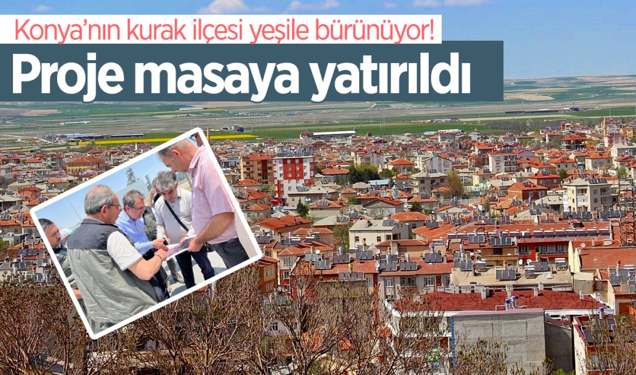 Konya’nın kurak ilçesi yeşile bürünüyor! 1959’da başlayan mücadele sürüyor