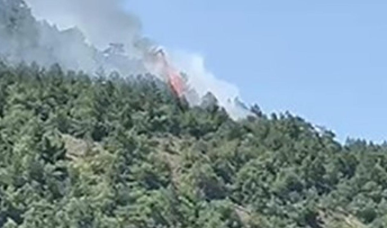 Ankara’da orman yangını! Ekipler müdahale ediyor