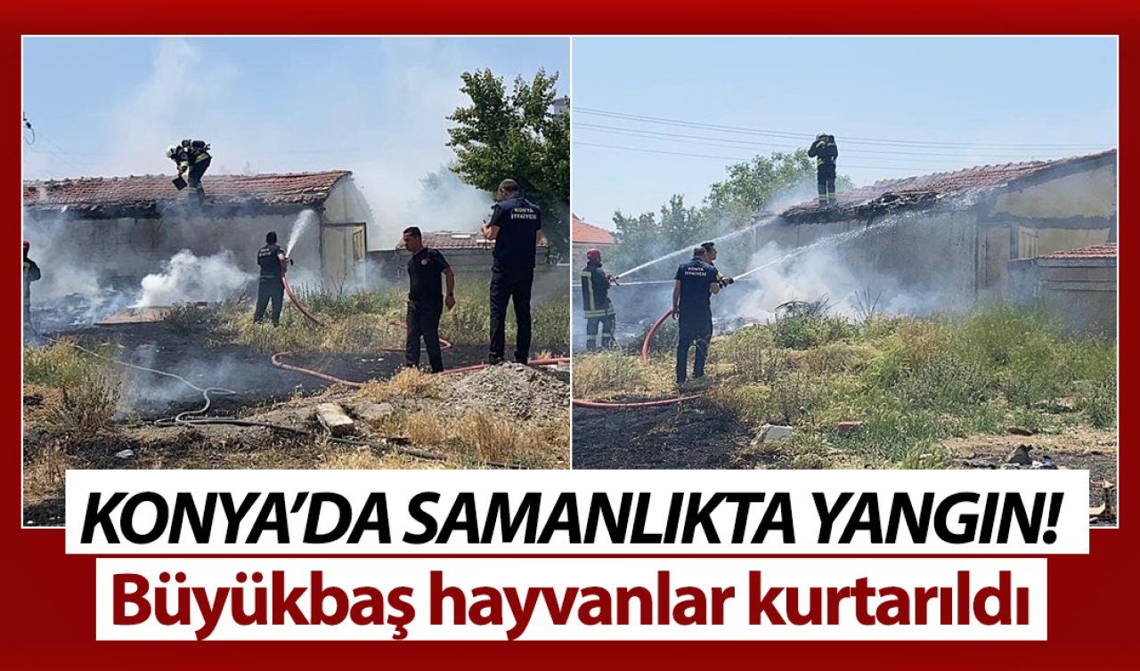Konya’da samanlıkta yangın! Büyükbaş hayvanlar kurtarıldı