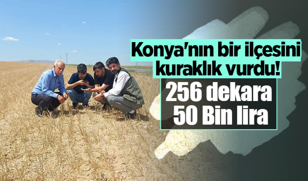 Konya’nın bir ilçesini kuraklık vurdu! 256 dekara 50 Bin lira