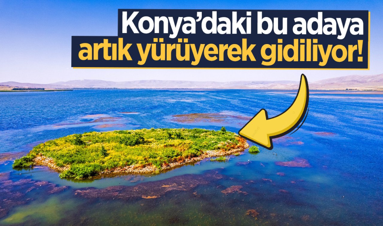 Konya’daki bu adaya artık yürüyerek gidiliyor!  