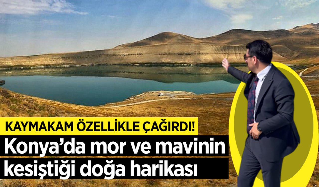 Kaymakam özellikle çağırdı! Konya’da mor ve mavinin kesiştiği doğa harikası 