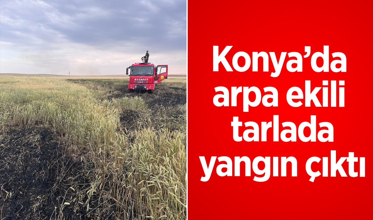 Konya’da arpa ekili tarlada yangın çıktı!