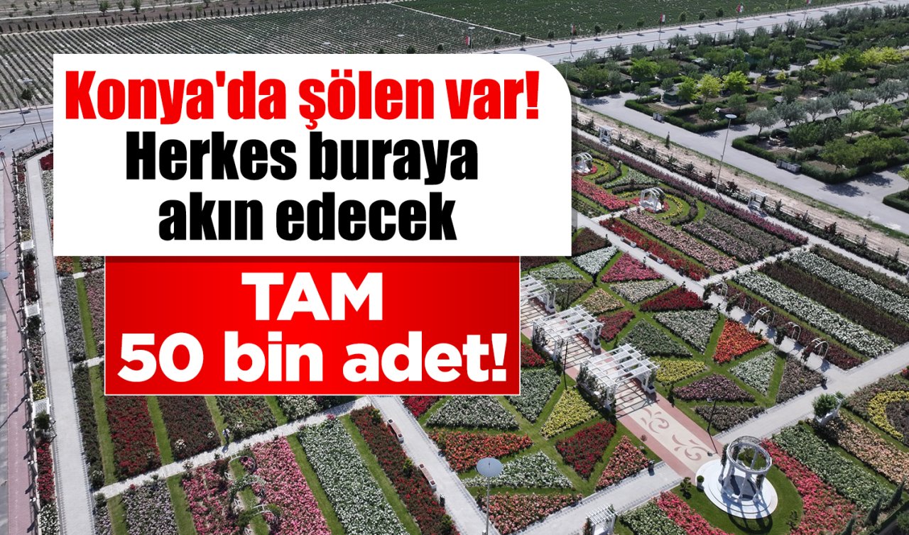 Konya’da şölen var! Herkes buraya akın edecek: TAM 50 bin adet! 