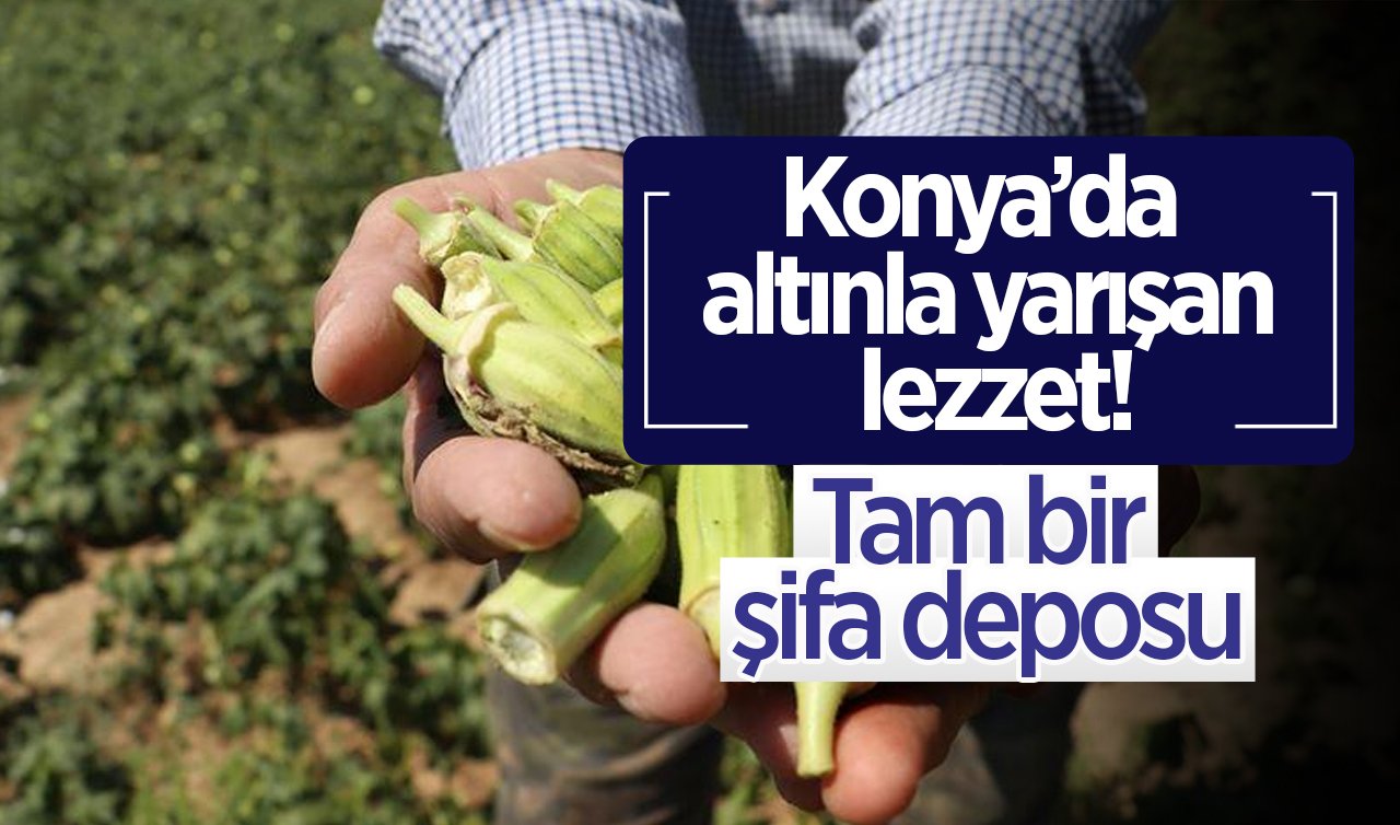 Konya’da altınla yarışan lezzet! Tam bir şifa deposu