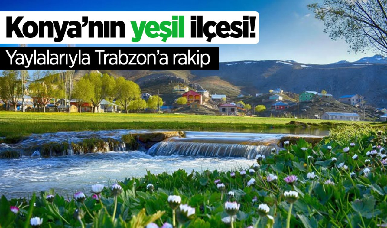Konya’nın yeşil ilçesi! Yaylalarıyla Trabzon’a rakip