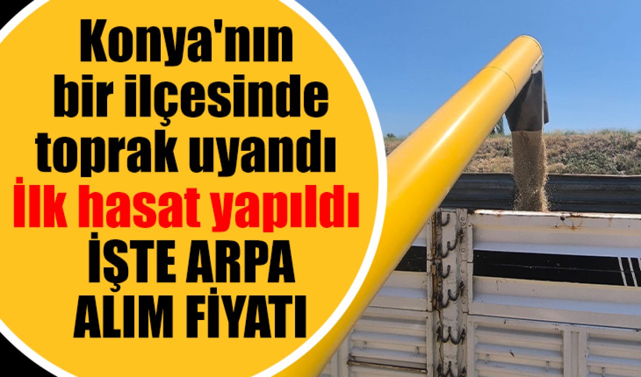 2025 sezonu açıldı Konya’nın bir ilçesinde toprak uyandı: İşte arpa alım fiyatı..