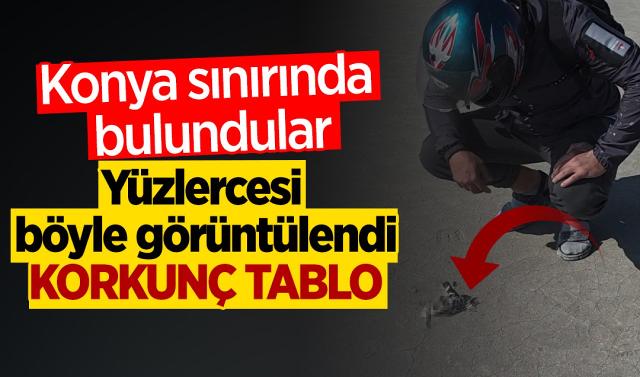 Konya sınırında bulundular: Yüzlercesi böyle görüntülendi