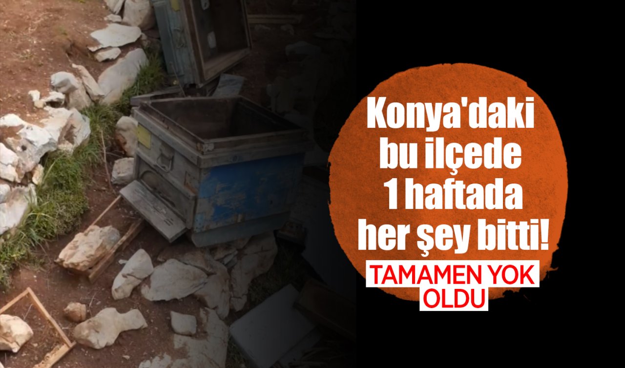 Konya’daki bu ilçede 1 haftada her şey bitti! Tamamen yok oldu 