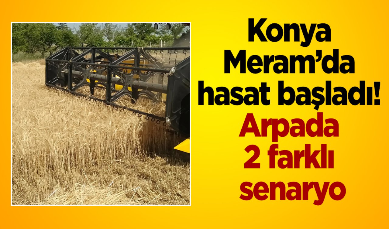 Konya Meram’da hasat başladı Arpada 2 farklı senaryo