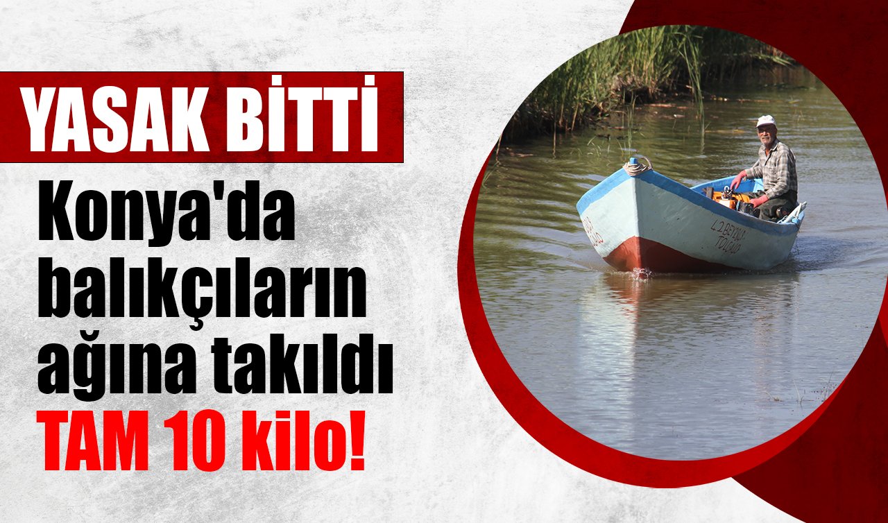 Konya’da balıkçıların ağına takıldı: TAM 10 kilo! 