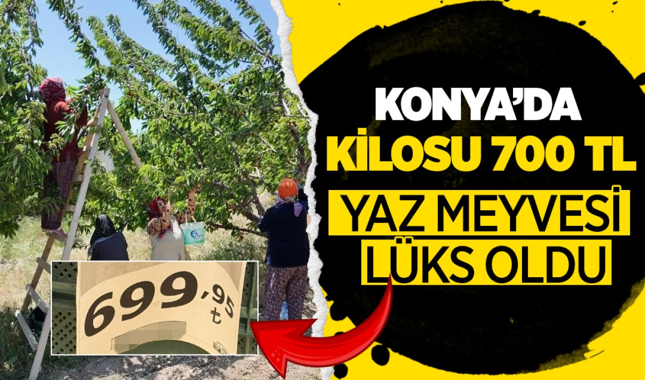 Konya’da dalında 80 TL, markette 700 TL!
