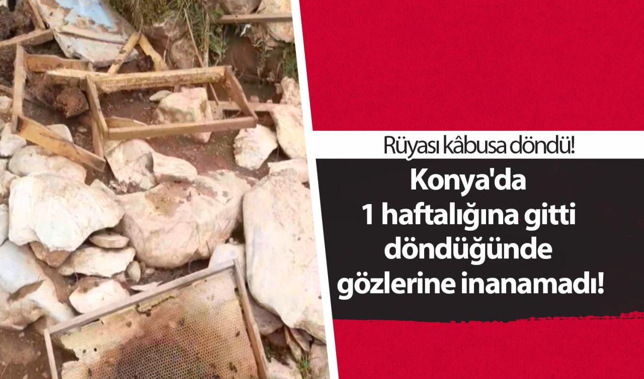 Konya’da 1 haftalığına gitti döndüğünde gözlerine inanamadı! Rüyası kâbusa döndü!