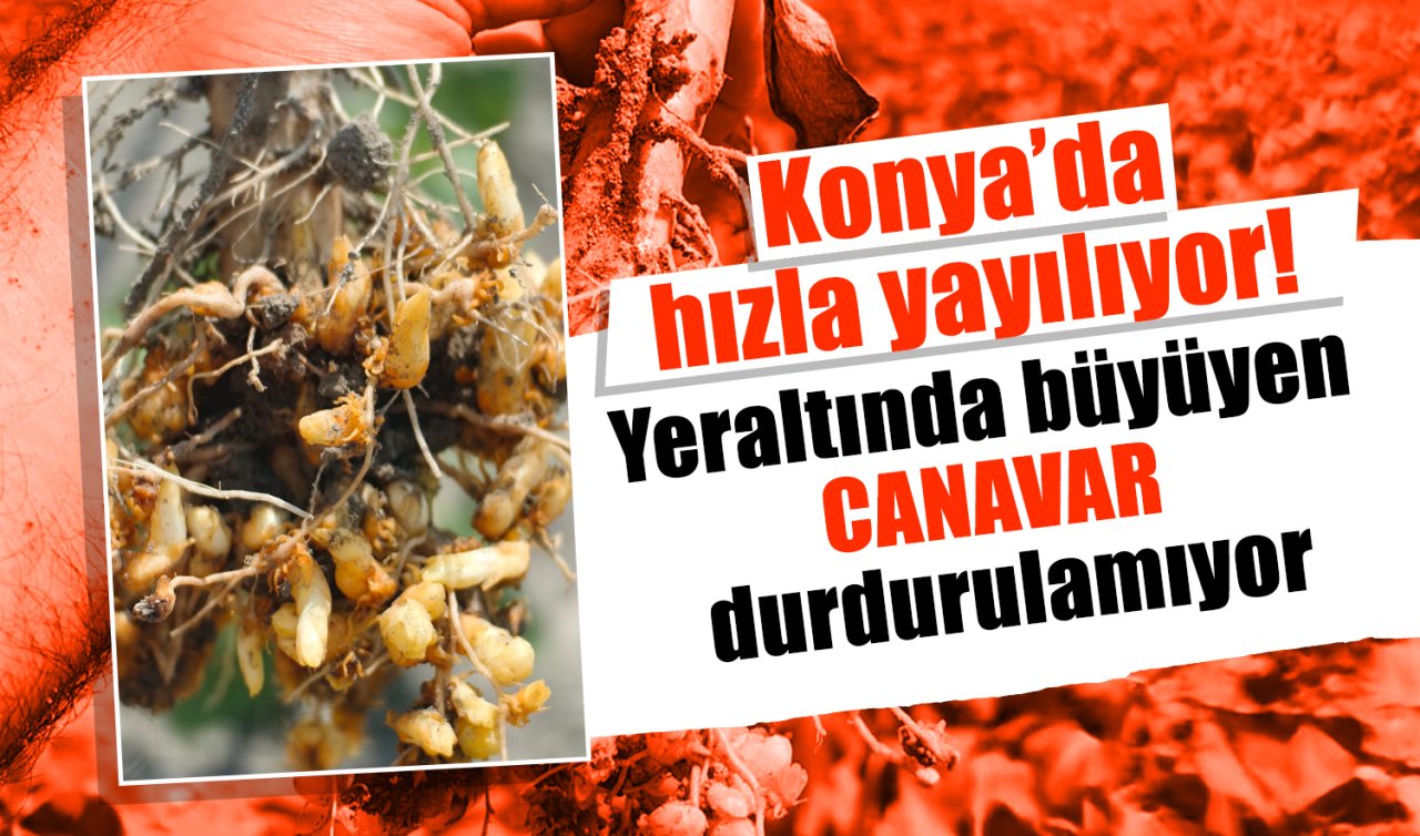 Konya’da hızla yayılıyor! Yeraltında büyüyen CANAVAR durdurulamıyor