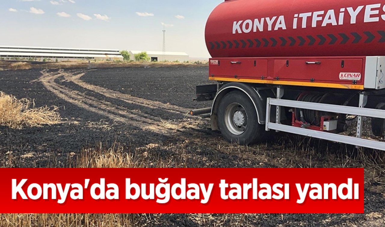 Konya’da buğday tarlası yandı