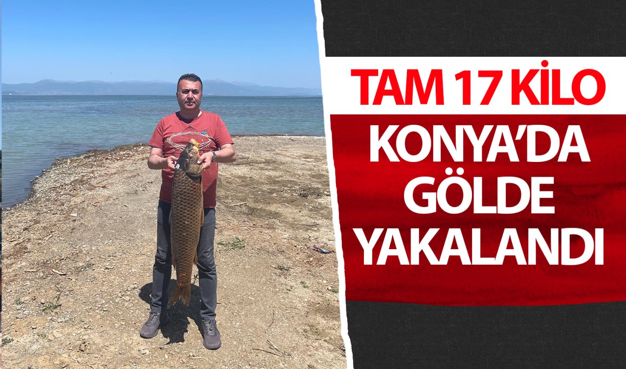 Tam 17 kilo! Konya’da gölde yakalandı 