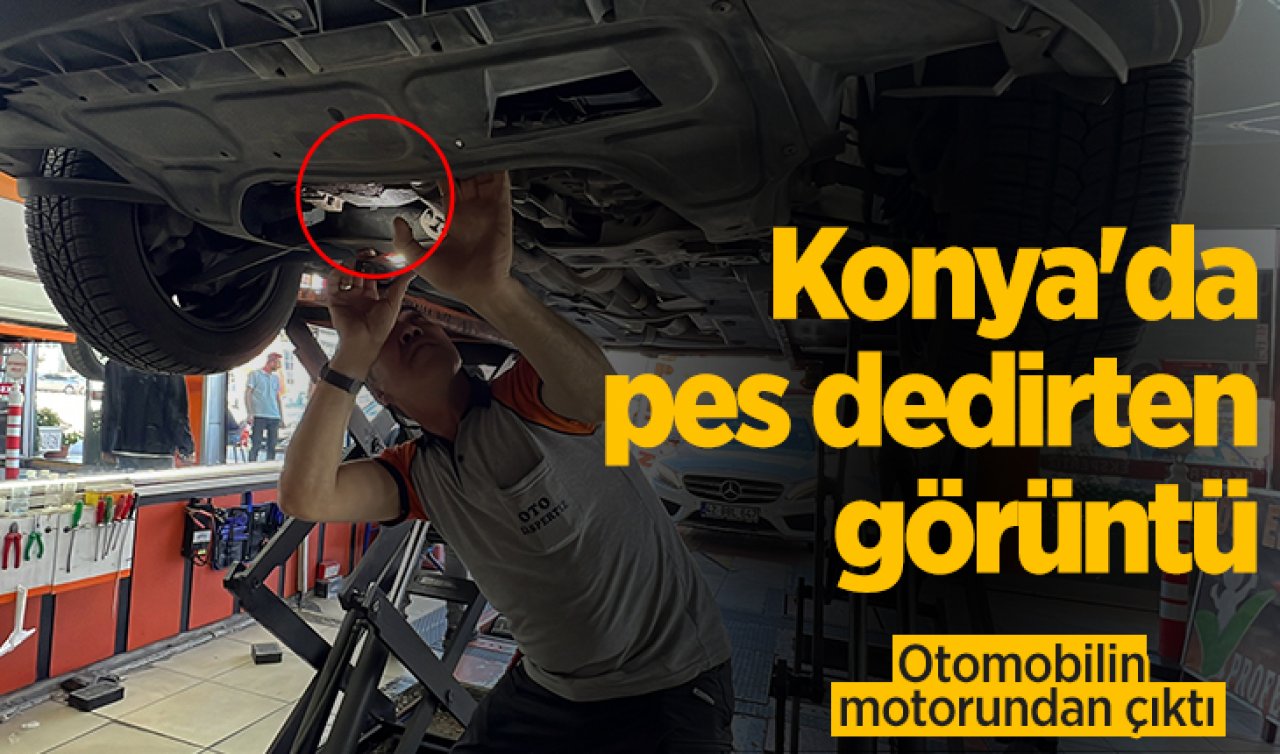 Konya’da pes dedirten görüntü: Otomobilin motorundan çıktı