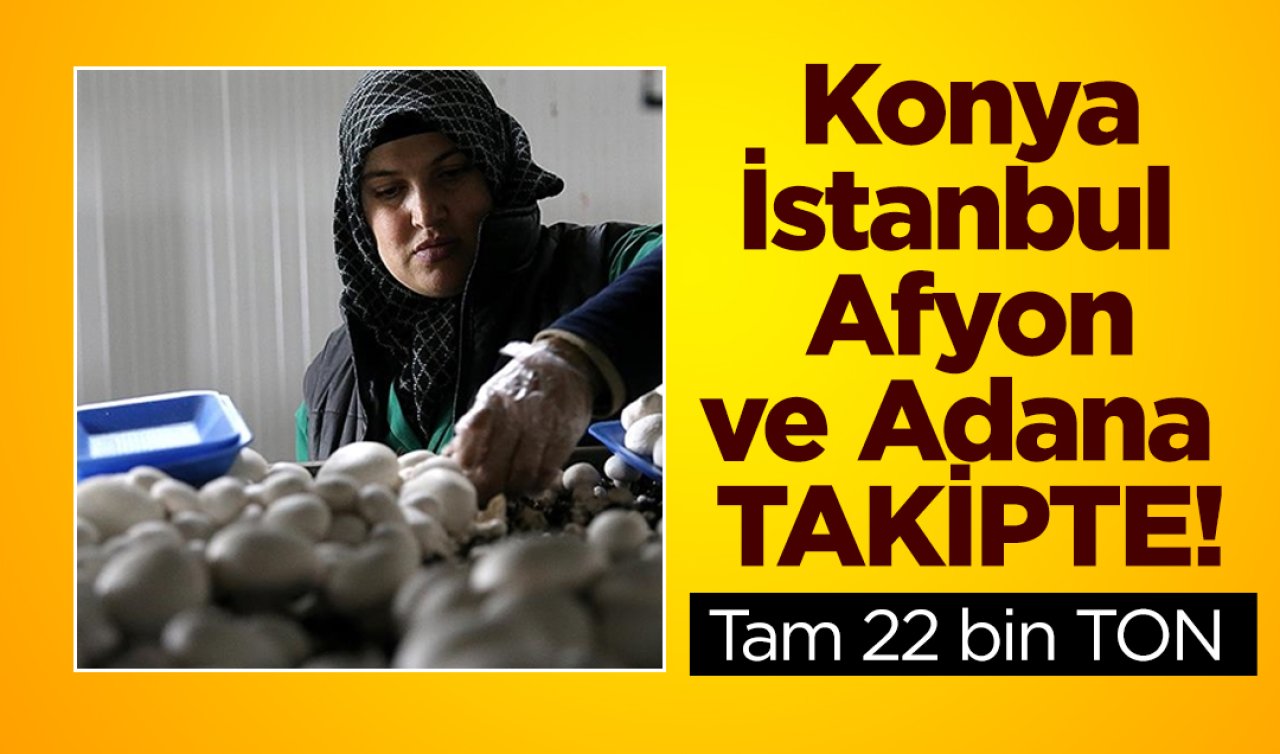  Konya İstanbul  Afyon ve Adana TAKİPTE! 65 yılı buldu: Tam 22 bin TON!